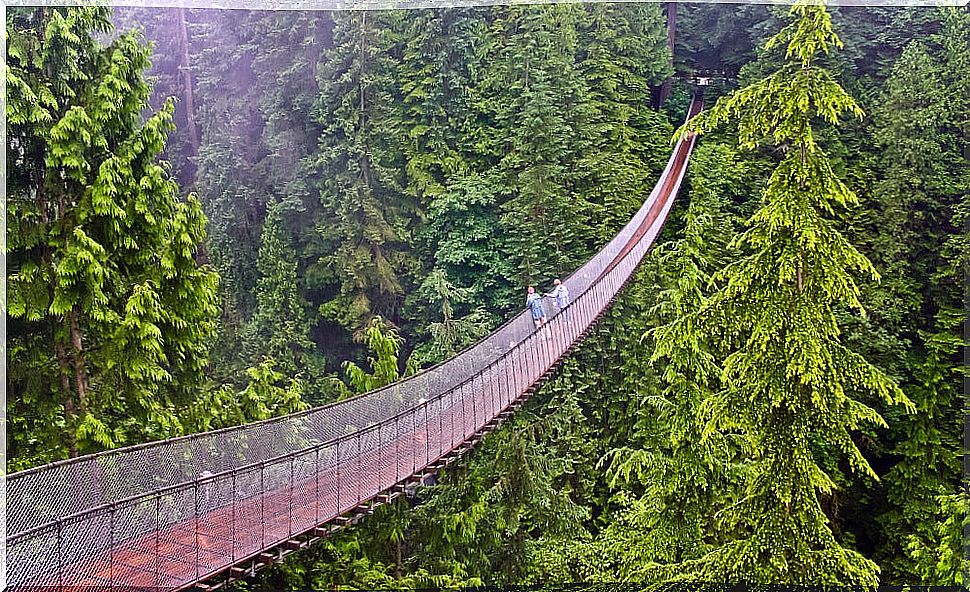 Capilano suspension Bridge