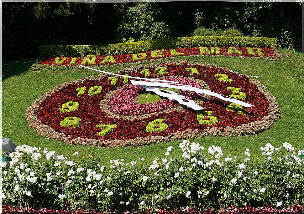 Flower clock