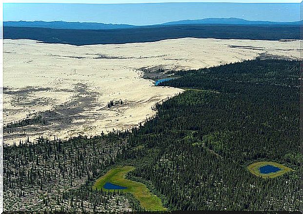 Dunes in Kobuk Valley