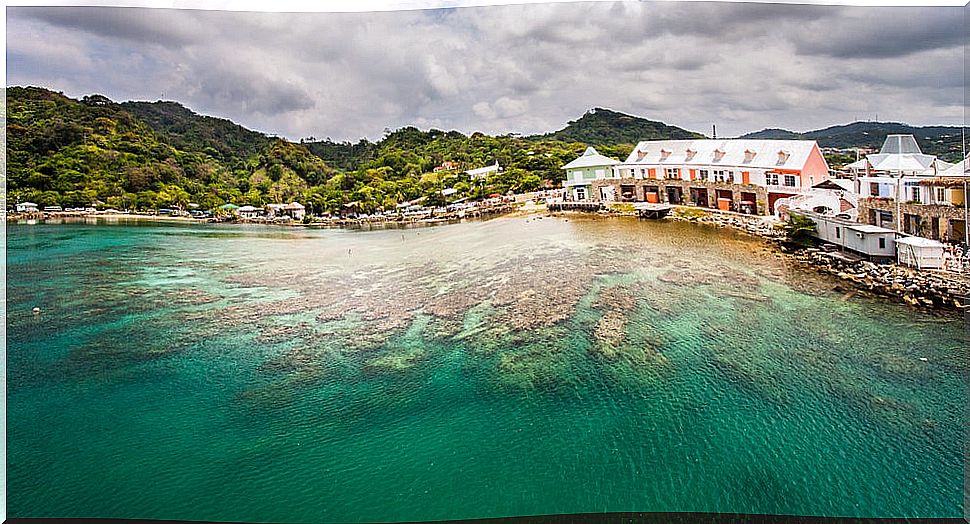 Visit the beautiful reefs of Roatán in Honduras