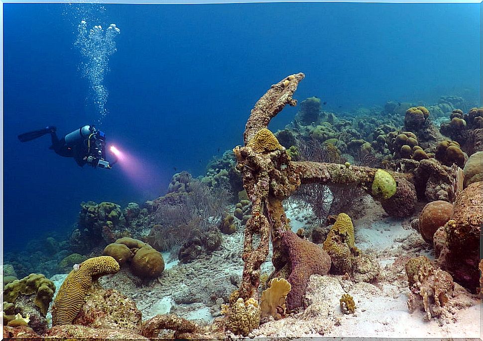 Roatan reefs