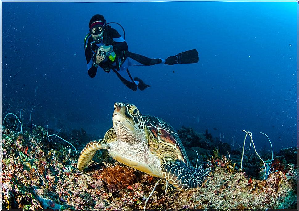 Diver in the Gili Islands