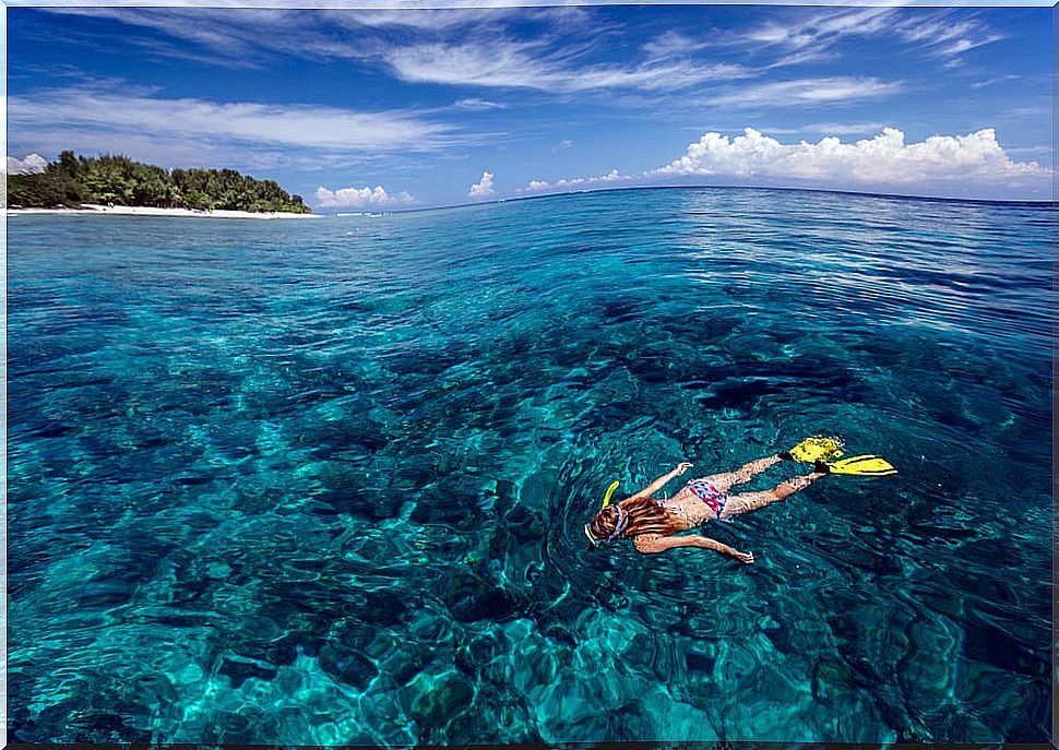 Snorkeling in the Gili Islands