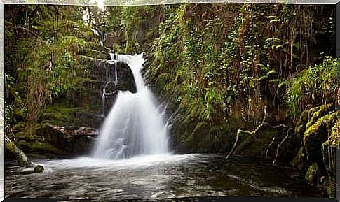 Sullivan Waterfall on the Ring of Kerry