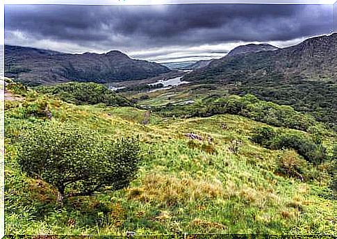 Ladies View on the Ring of Kerry