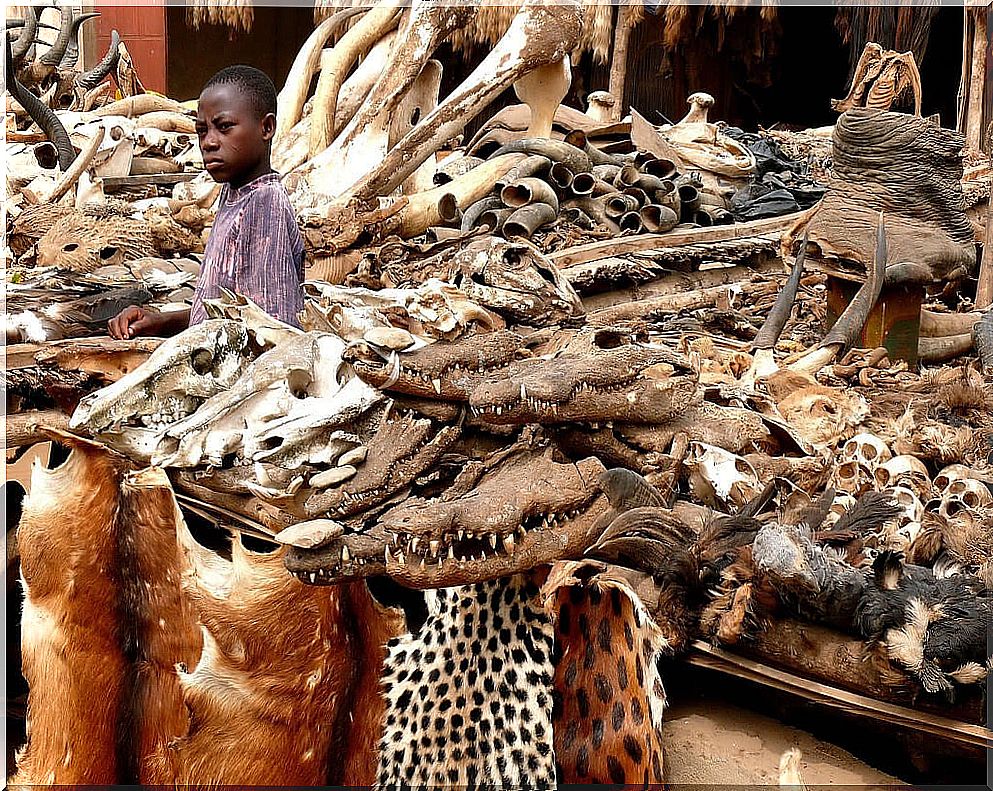 Lomé fetish market