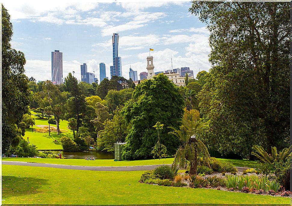 Melbourne Botanical Garden