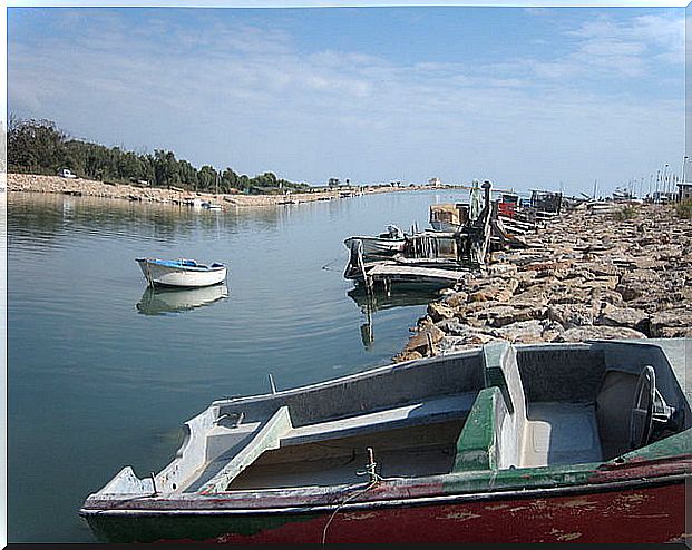 Mouth of the river Segura