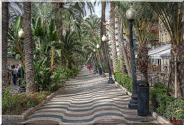 Alicante promenade