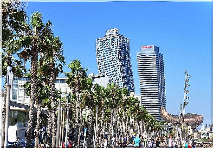 Boardwalks: Barcelona